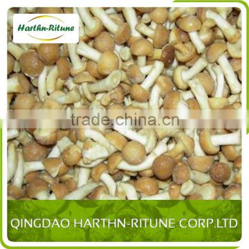 Wholesale china trade frozen nameko