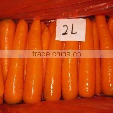 Juyuan Carrots