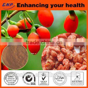 QS/HACCP/ISO-BNP Xinjiang Goji 100% Natural High Quality Goji Berry Extract photo-4