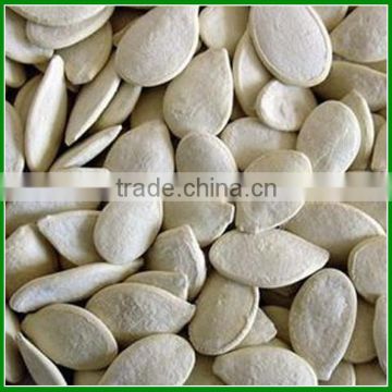 Sale China Roasted and Salted Pumpkin Seeds 12 cm with Best Quality