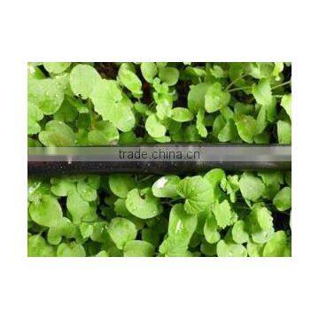 16mm/12mm agriculture drip irrigation pipe subsurface drip irrigation