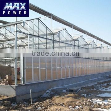 High light transmittance greenhouse