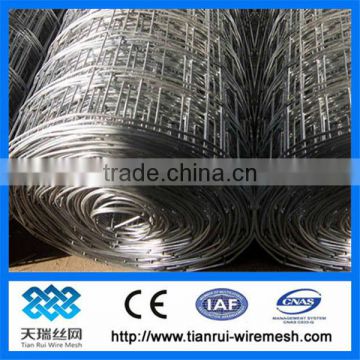 galvanized 6x6 reinforcing welded wire mesh