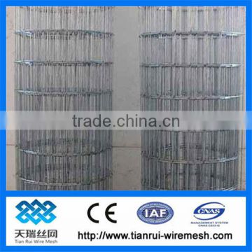 bird cage welded wire mesh roll