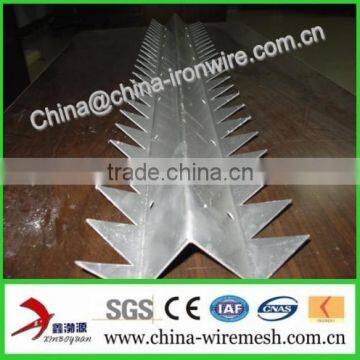 Galvanized Steel Wall Spikes / Anti-climb Spikes/ Security Spikes (factory ) photo-5