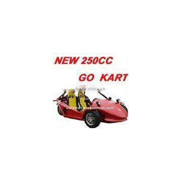 NEW 250CC TWO SEAT GO KART (MC-415)