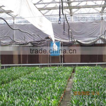 Multi Span Tunnel PE Plastic Film Hydroponic Systems Agricultural Commercial Greenhouse photo-5