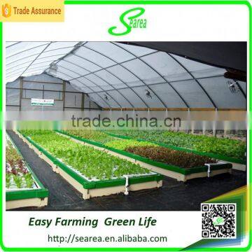 single span film covering poly arch greenhouse