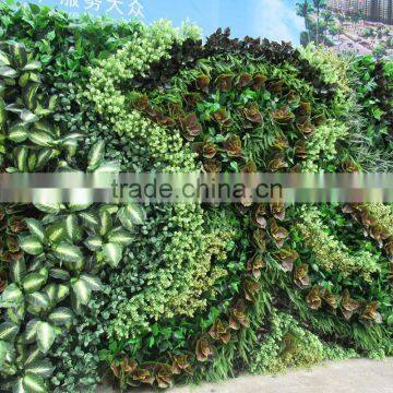 SJ0409027 Plant Climbing Walls Plastic Plants Wall/vertical Green Wall Garden photo-3