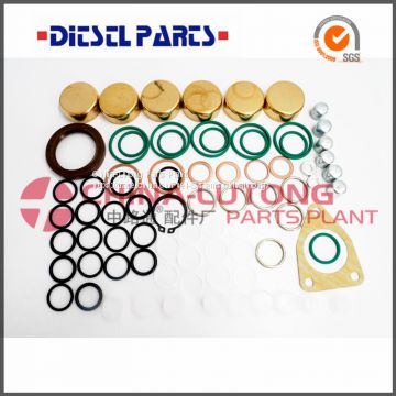Auto Rebuild Kits 2 417 010 021/800718 Fuel Engine Ve Pump Repair Kit On Sell