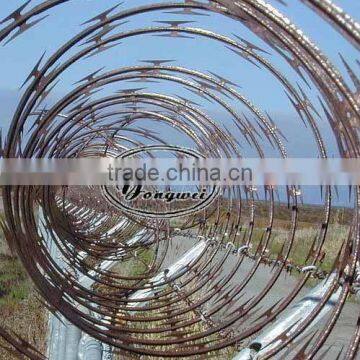 galvanized razor wire