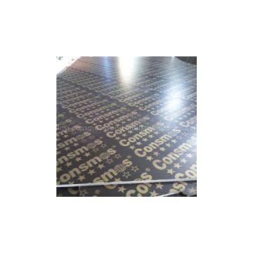 Wiremeshed anti-sliperry film faced plywood,