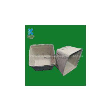 Paper Pulp Molded Fruit Packaging Box, Eco-friendly photo-3