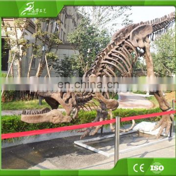 Life size exhibition dinosaur skeleton model for sale