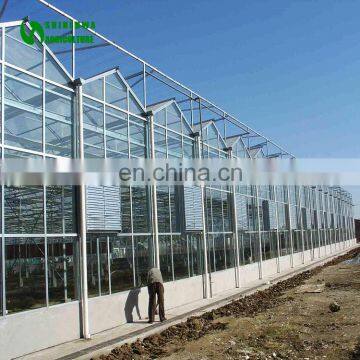 Large scale soilless cultivation agriculture glass greenhouse /garden greenhouse/hydroponic greenhouse