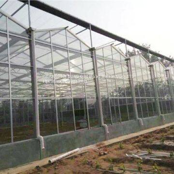 Glass Greenhouse 9.6m/10.8m Multispan Glass Greenhouse photo-4