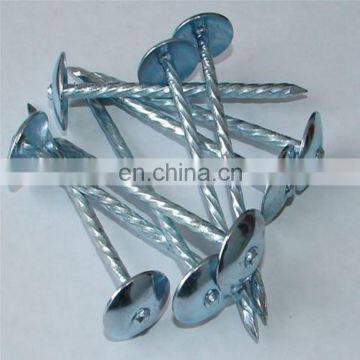 ISO Standard Umbrella Head Roofing Nail Type Coil Roofing Nails