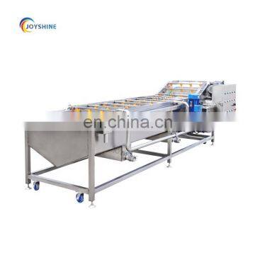 Fruit Vegetable Washing Machine High Efficiency Vegetable and Fruit Ozone Washer for Eggplant photo-3