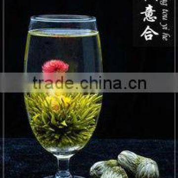 Organic Flowering Tea,A Perfect Match