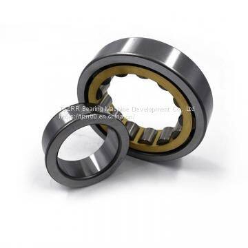 Toyana NP19/710 cylindrical roller bearings