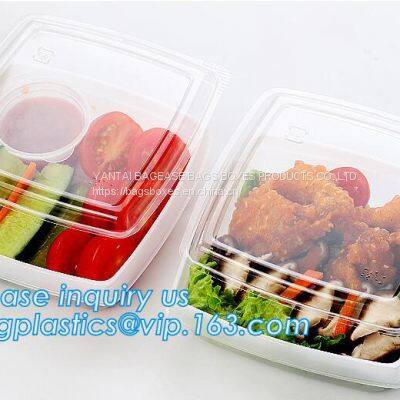 Fast Food DelivFood Grade Flat Collapsible Kids Plastic Foldable Silicone Plastic Food Storage Container Bento Lunch Box photo-2