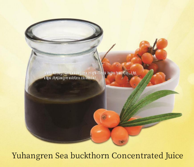 Sea Buckthorn Puree photo-4