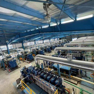 Multi-Gas Generating Solution Provider 10.5kv Biomass Gas Power Generators Set photo-4