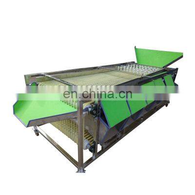 Stainless Steel Fruit Sorting Machine for Sale photo-3