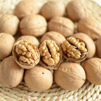 New Crops Wholesale Walnut Kernels Halves Competitive Price Size 30 32 34