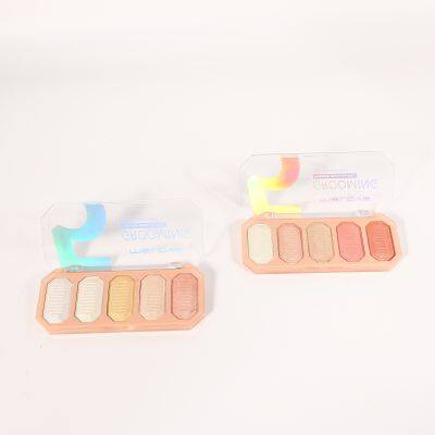 OEM Make up Blusher Palette With High Lighter Cosmetic Face Powder Blusher on Cheeks Bronzer Powder Highlighter Manufacturer photo-5