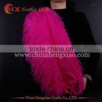 China wholesale plumes ostrich feathers carnival for party