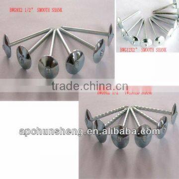 roofing nails manufacturer/plain shank roofing nails