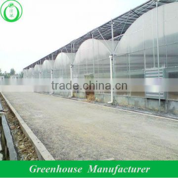 multi span polycarbonate china greenhouses