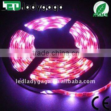 2011 high power led rainbow strip