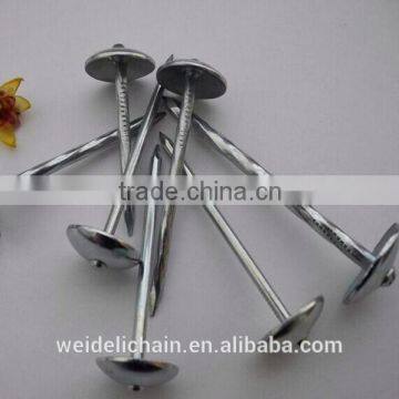 Shandong Manufacturer Zinc Coated Galvanized Roofing Nails Quality Choice photo-3