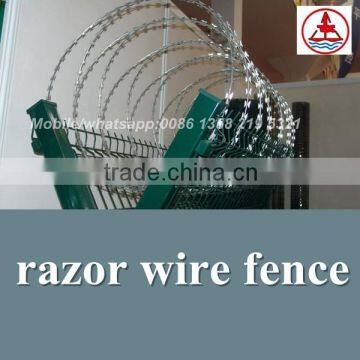 china anping factory hot dipped galvanized razor barbed wire price