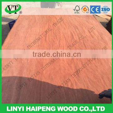 Red Wood veneer ,Burckella Face Veneer for india market same as gurjan veneer