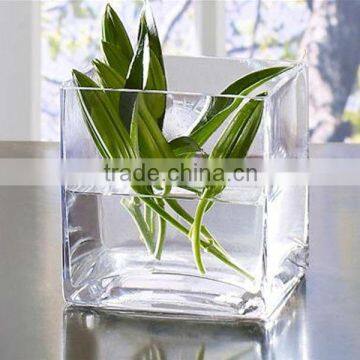 Square Shaped Glass Vase For Home Decoration