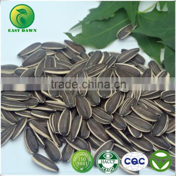 Chinese Bulk Black Sunflower Seeds With Good Quality 2015 New Crop