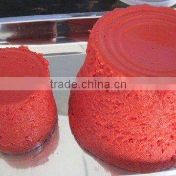 double tomato paste1000g