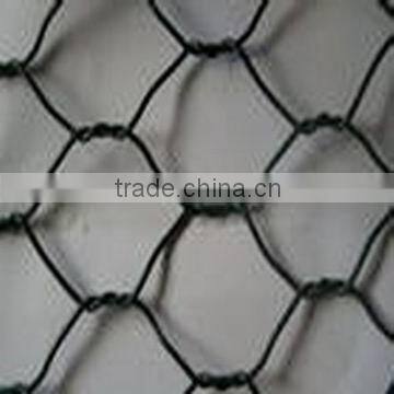 Hexagonal Iron Wire Netting photo-5