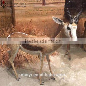 High Simulated Vivid Lifesize Animal Figures for Exhibition