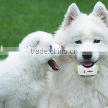 Low Cost Portable Diy Pet Gps Dog Tracker Collar photo-3
