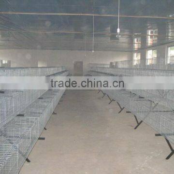 Commerial Automatic Chicken Cage photo-2
