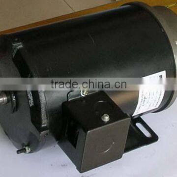NEMA electic motor