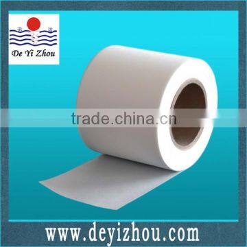 China manufacturer Nylon 6 micro-porous filter membrane