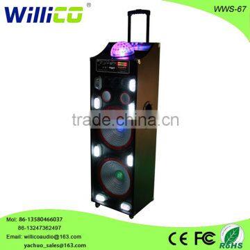 Big power profesional high quality speaker with laser light