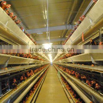 Light Steel Structure Poultry Farm House and Chicken Layer Cage Coop Equipment