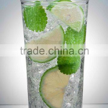 Wholesale Polycarbonate Plastic Jasper Highball 425mL Glass Australia