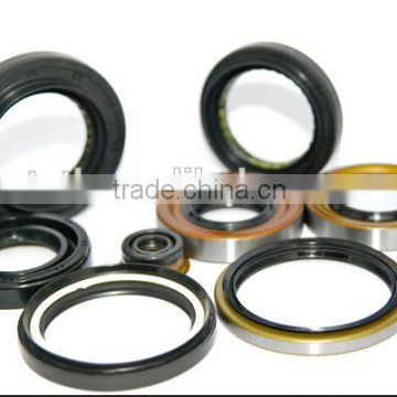 Custom seals Fluorine rubber seal Hydraulic seal